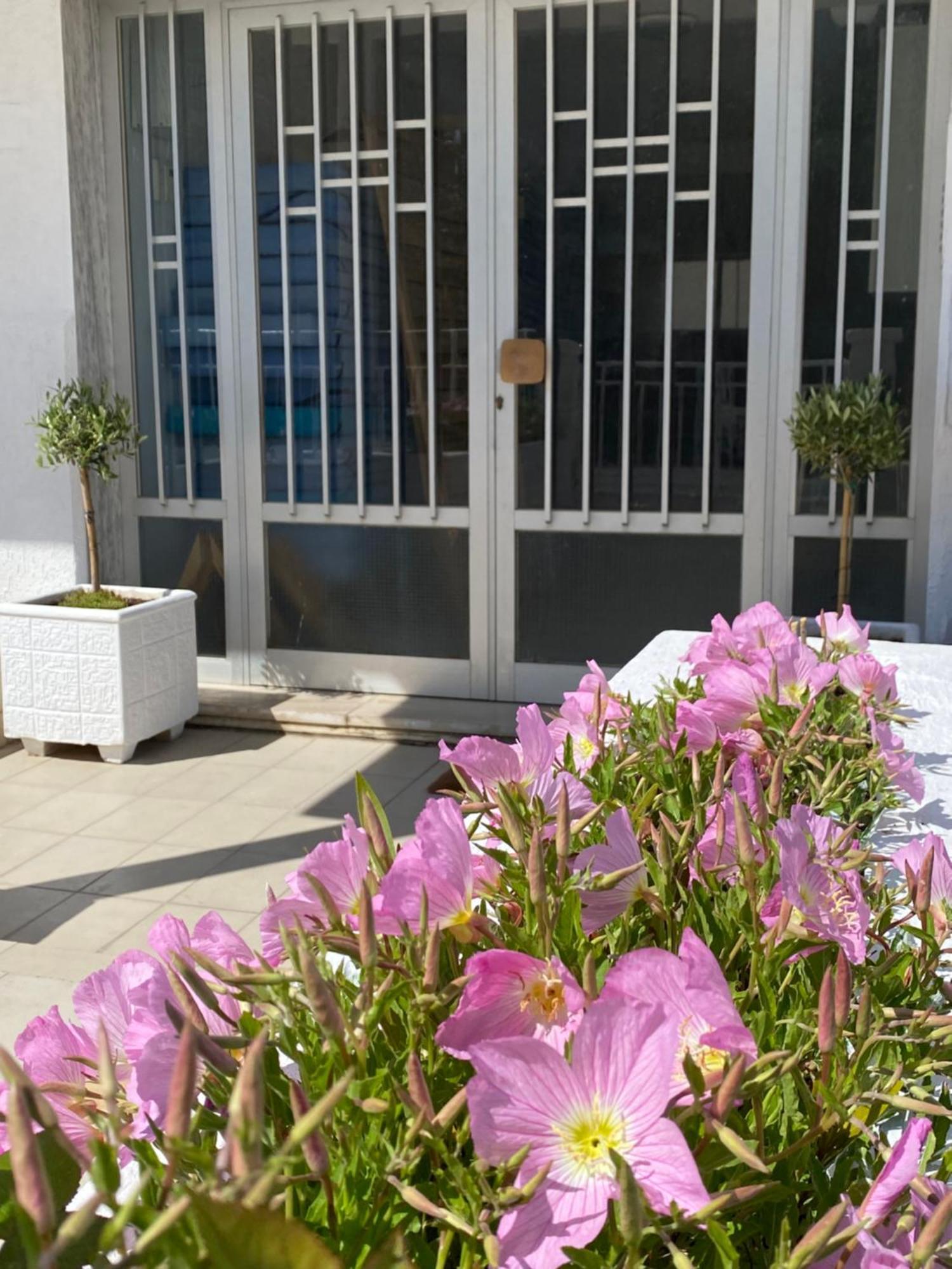 Apartment Korali Paralia Katerinis